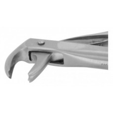 Extracting Forceps Lower Molars Universal