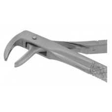 Extracting Forceps Lower Premolars & Canines#75E