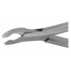 Extracting Forceps Upper Incisors, Canines &Premolars, Universal